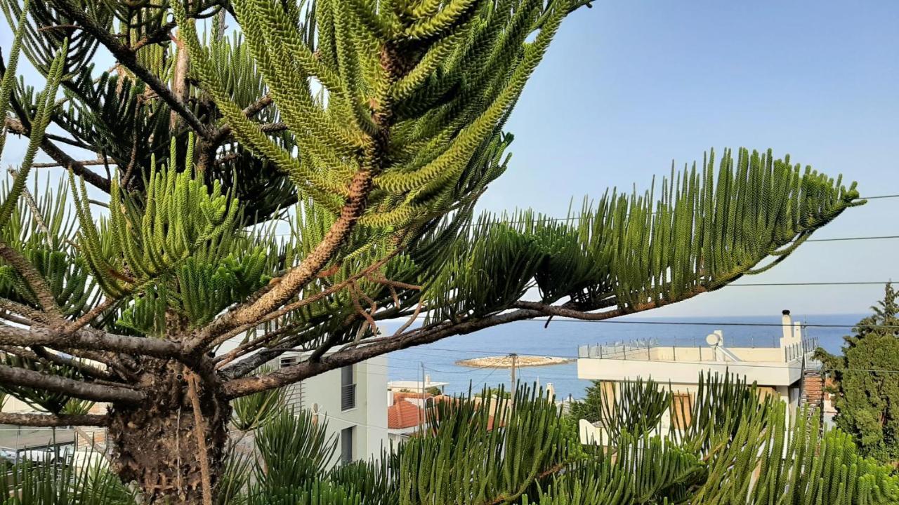 Seaside Kaki Thalassa Keratea المظهر الخارجي الصورة